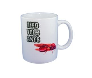 Feed Ant3d 1 2